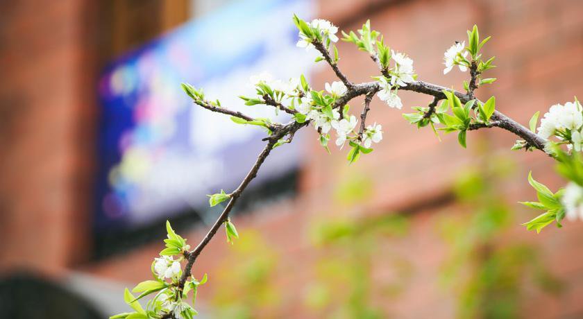 Гостиница Seven Travel Hostel Иркутск-28